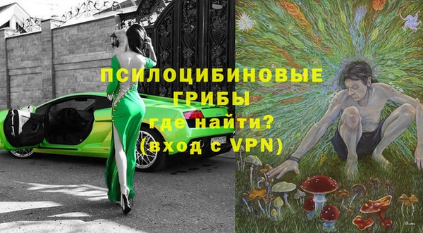 мдпв Богданович