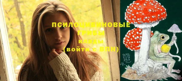мдпв Богданович